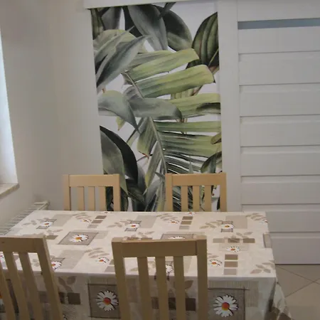 Jedrek - 650m Do Deptaka Spacerowego W Centrum ויסלאו