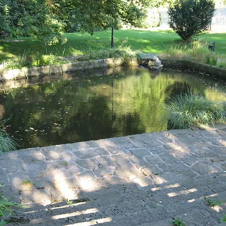 Daire Jedrek - 650m Do Deptaka Spacerowego W Centrum *