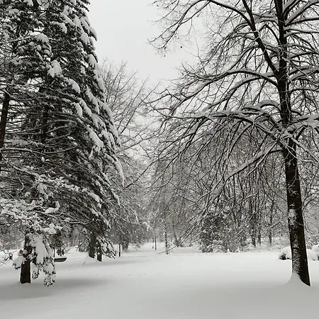 Jedrek - 650m Do Deptaka Spacerowego W Centrum * Wisła