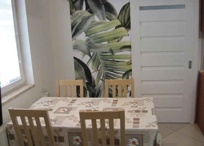 Jedrek - 650m Do Deptaka Spacerowego W Centrum ויסלאו