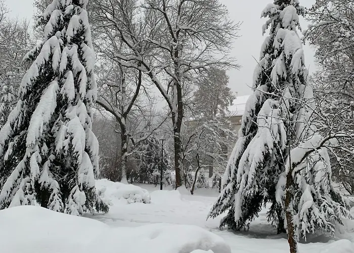 דירה Jedrek - 650m Do Deptaka Spacerowego W Centrum