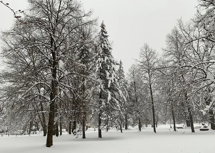 Jedrek - 650m Do Deptaka Spacerowego W Centrum *