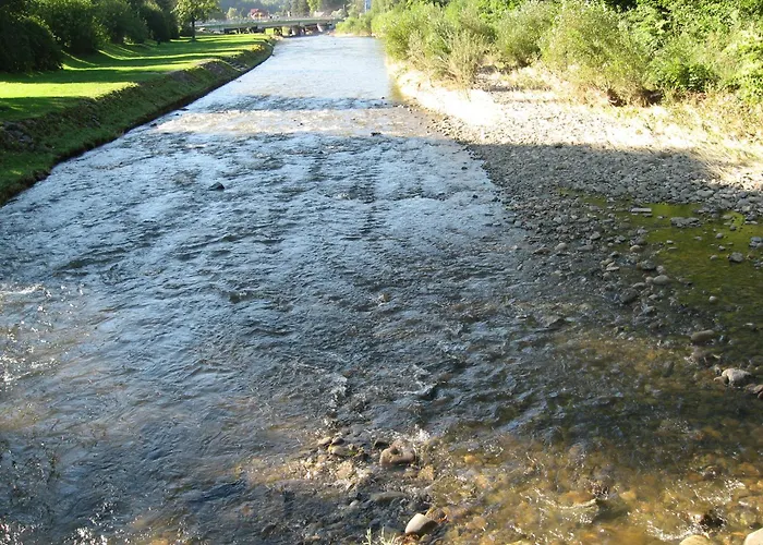 Jedrek - 650m Do Deptaka Spacerowego W Centrum *