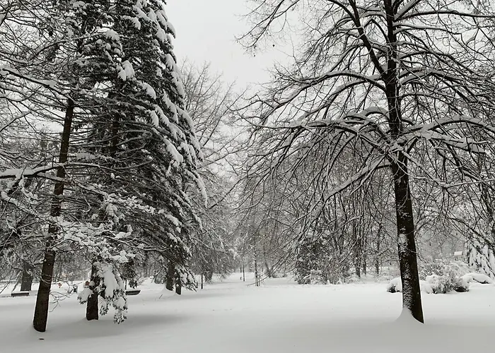 Jedrek - 650m Do Deptaka Spacerowego W Centrum * ויסלאו