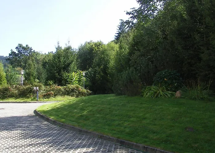 Jedrek - 650m Do Deptaka Spacerowego W Centrum