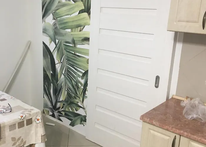 Jedrek - 650m Do Deptaka Spacerowego W Centrum