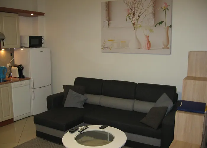 Jedrek - 650m Do Deptaka Spacerowego W Centrum